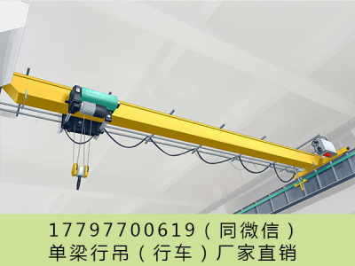重庆双梁行车厂家生产电解铝专用航吊